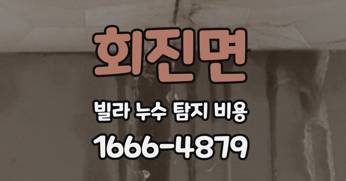 회진면 빌라 누수 탐지 비용