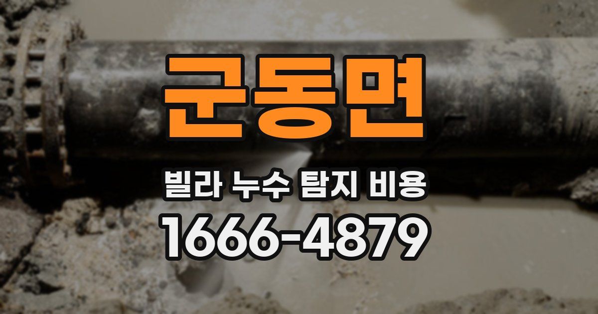 군동면 빌라 누수 탐지 비용