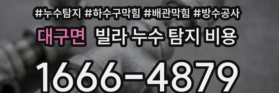 대구면 빌라 누수 탐지 비용