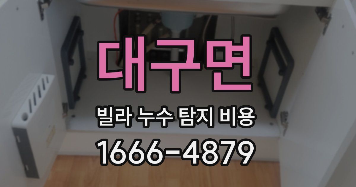 대구면 빌라 누수 탐지 비용