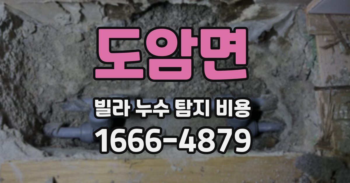 도암면 빌라 누수 탐지 비용