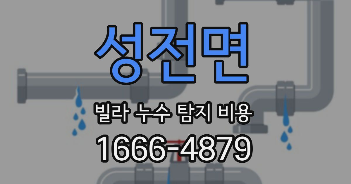 성전면 빌라 누수 탐지 비용