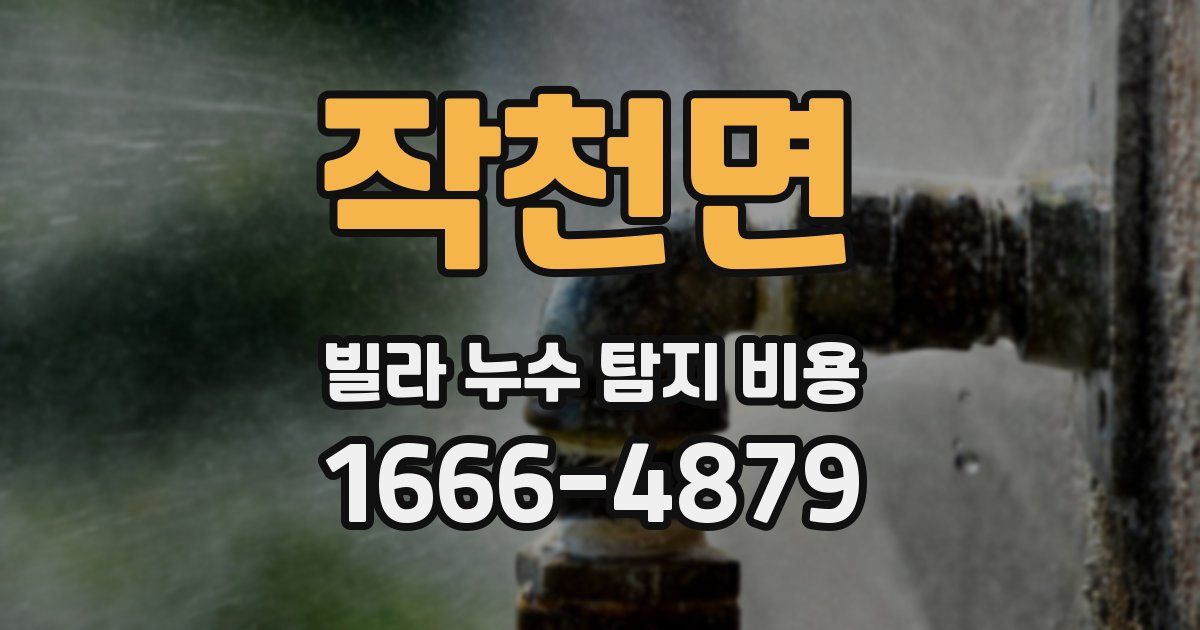 작천면 빌라 누수 탐지 비용
