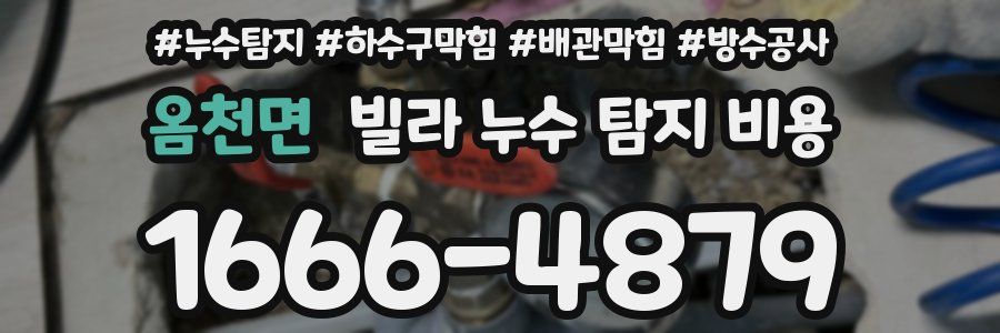 옴천면 빌라 누수 탐지 비용