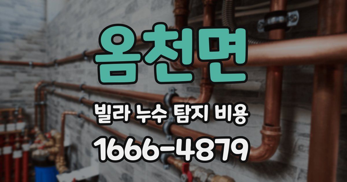 옴천면 빌라 누수 탐지 비용