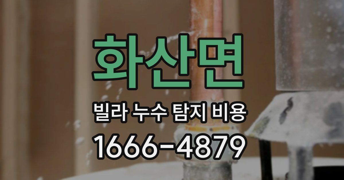 화산면 빌라 누수 탐지 비용