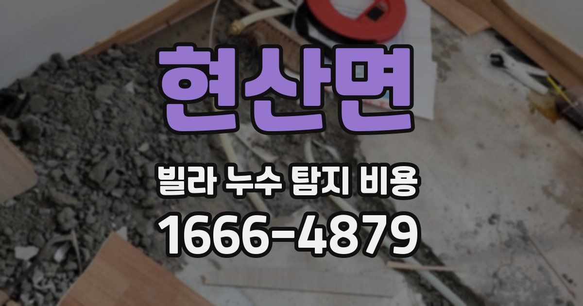 현산면 빌라 누수 탐지 비용