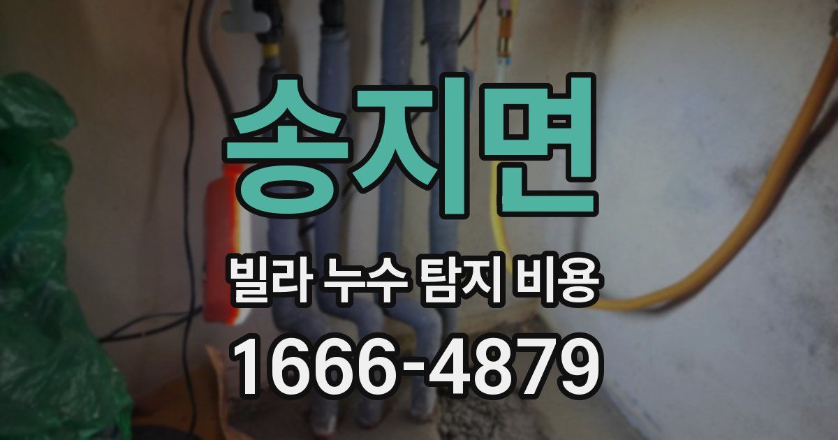 송지면 빌라 누수 탐지 비용
