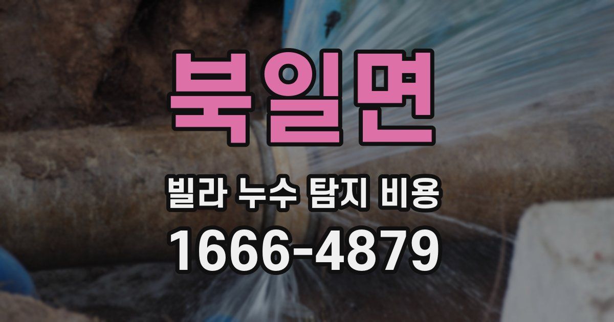 북일면 빌라 누수 탐지 비용