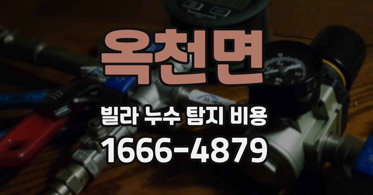 옥천면 빌라 누수 탐지 비용