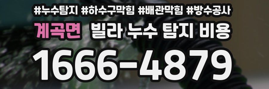 계곡면 빌라 누수 탐지 비용