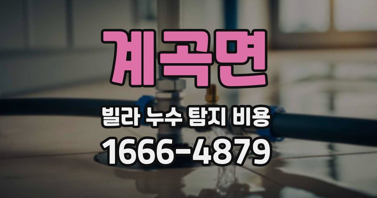 계곡면 빌라 누수 탐지 비용