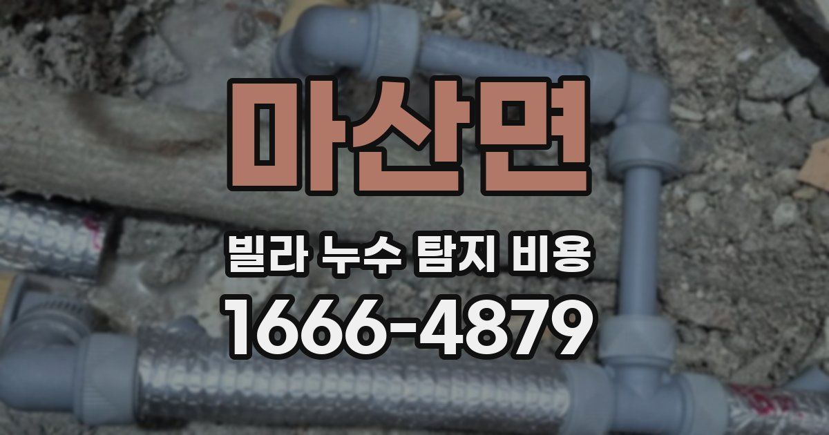 마산면 빌라 누수 탐지 비용