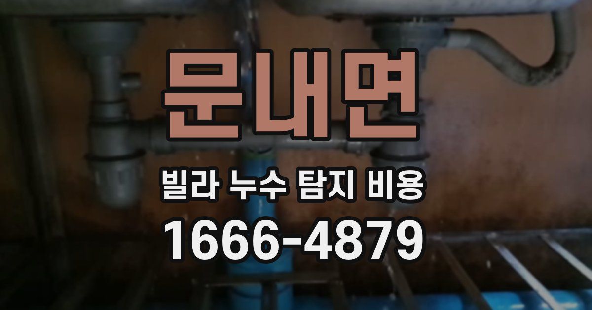문내면 빌라 누수 탐지 비용