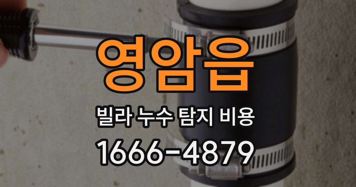 영암읍 빌라 누수 탐지 비용
