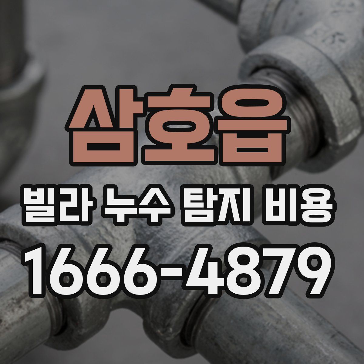 삼호읍 빌라 누수 탐지 비용