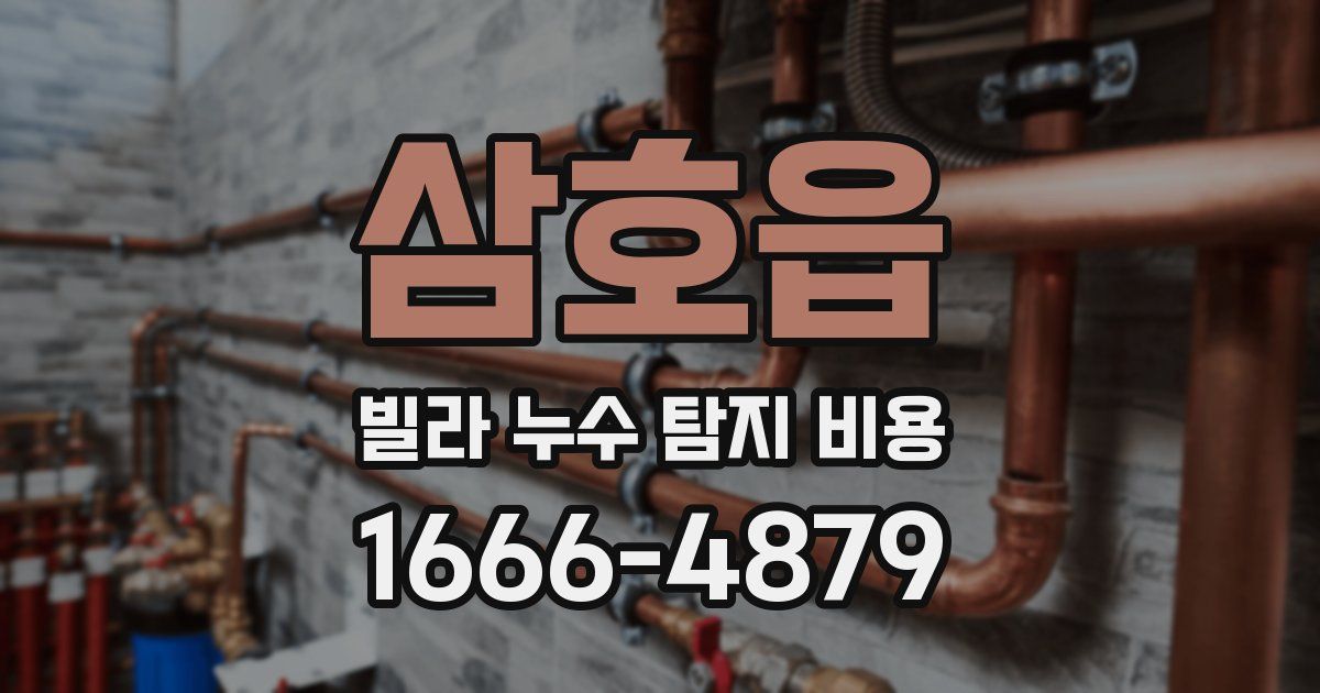 삼호읍 빌라 누수 탐지 비용