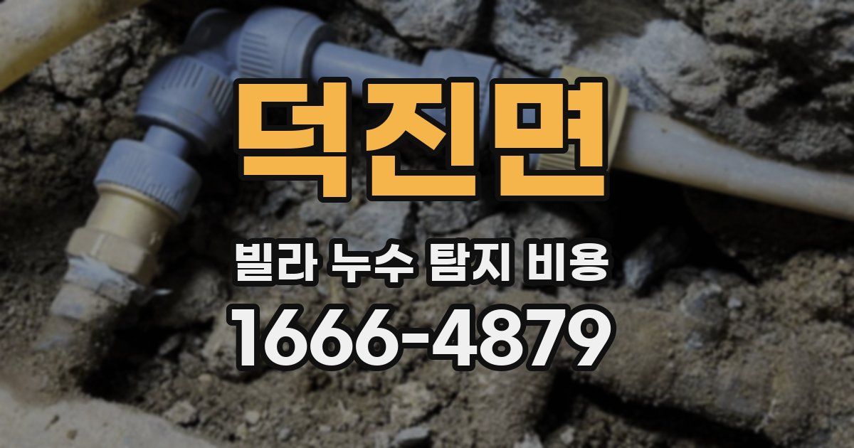 덕진면 빌라 누수 탐지 비용