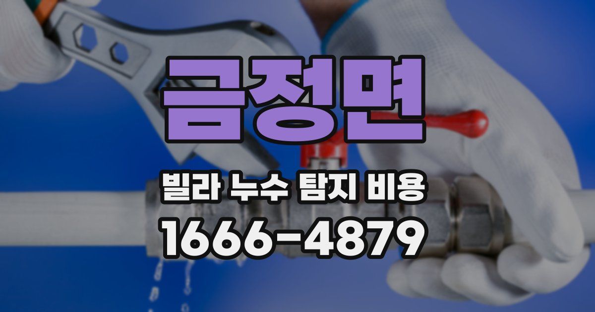 금정면 빌라 누수 탐지 비용