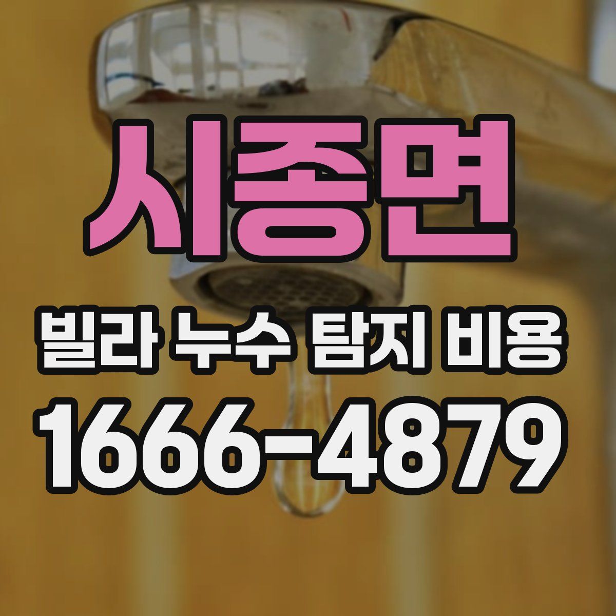시종면 빌라 누수 탐지 비용