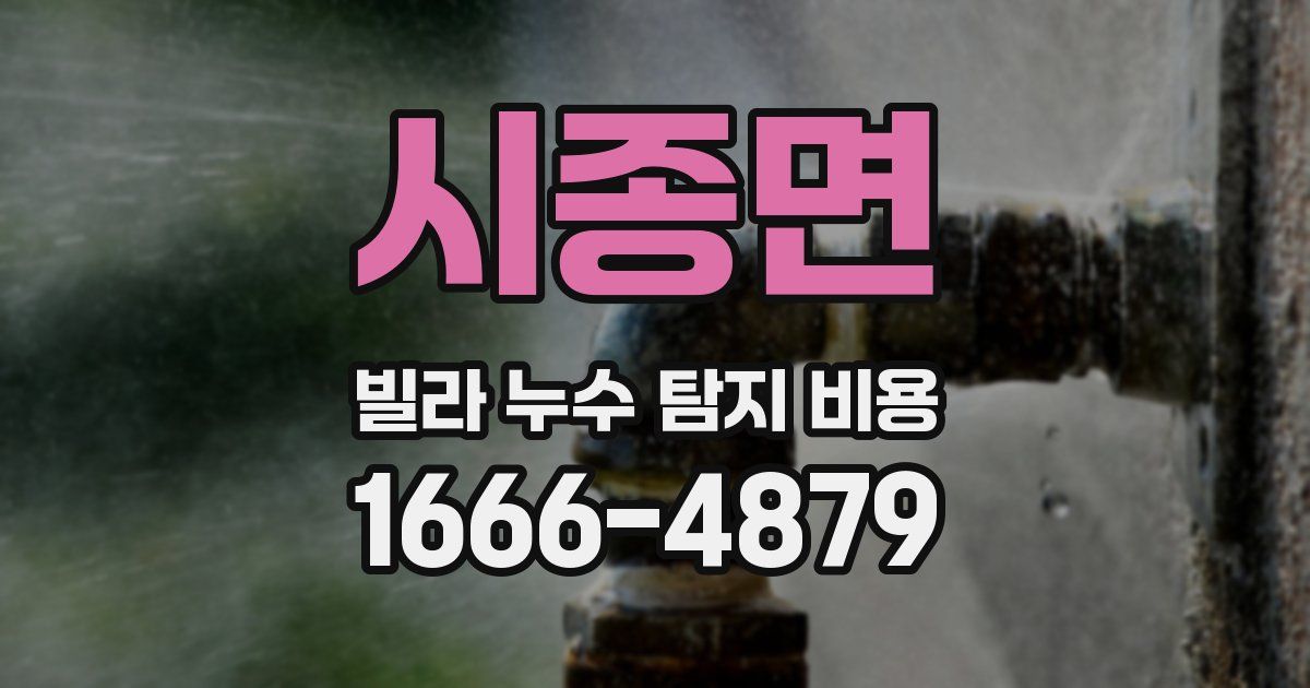 시종면 빌라 누수 탐지 비용