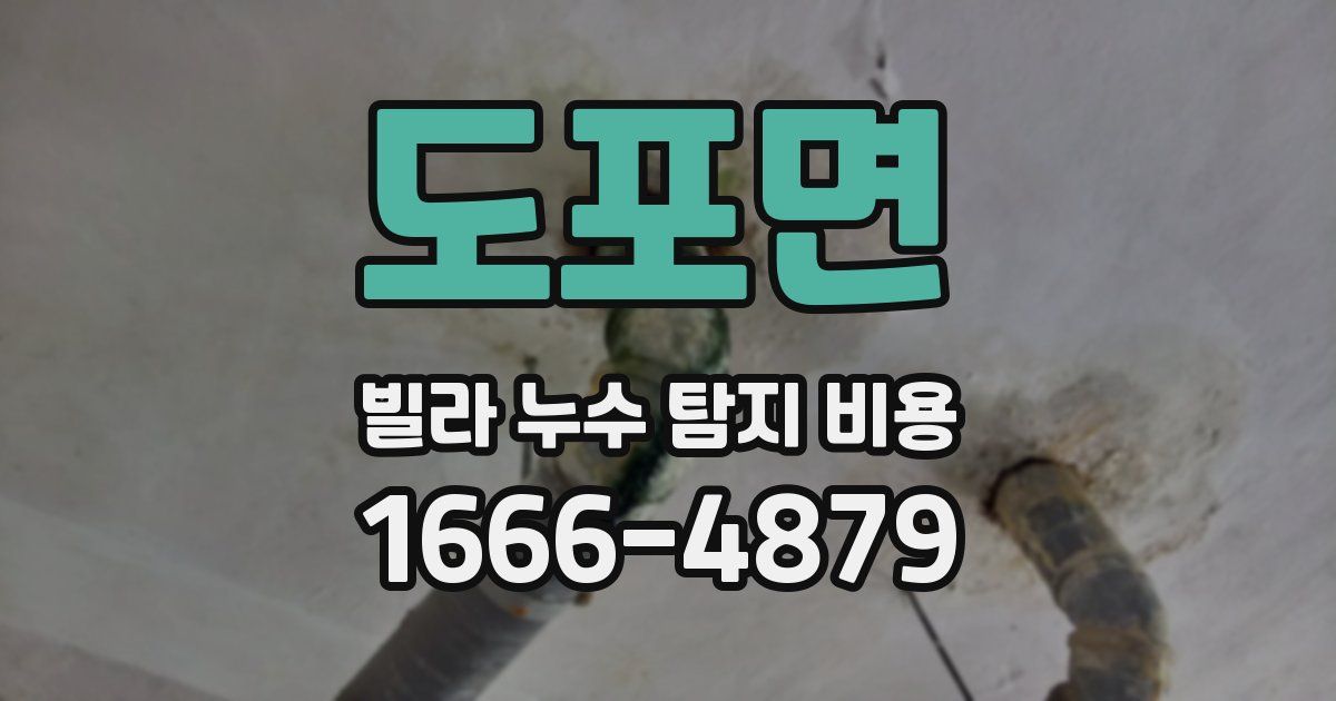 도포면 빌라 누수 탐지 비용