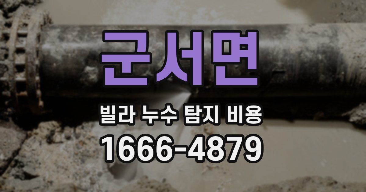 군서면 빌라 누수 탐지 비용