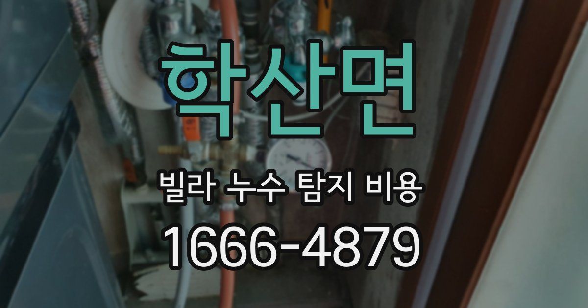학산면 빌라 누수 탐지 비용