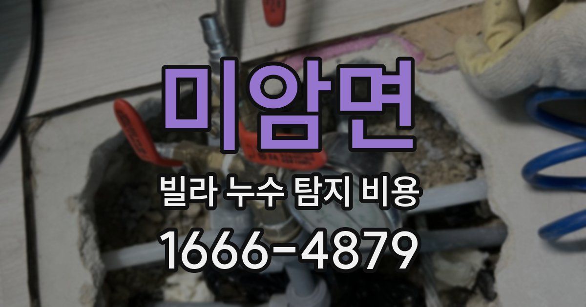 미암면 빌라 누수 탐지 비용