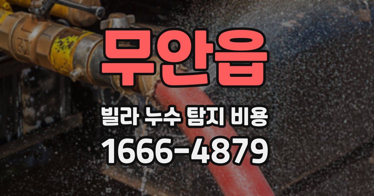 무안읍 빌라 누수 탐지 비용