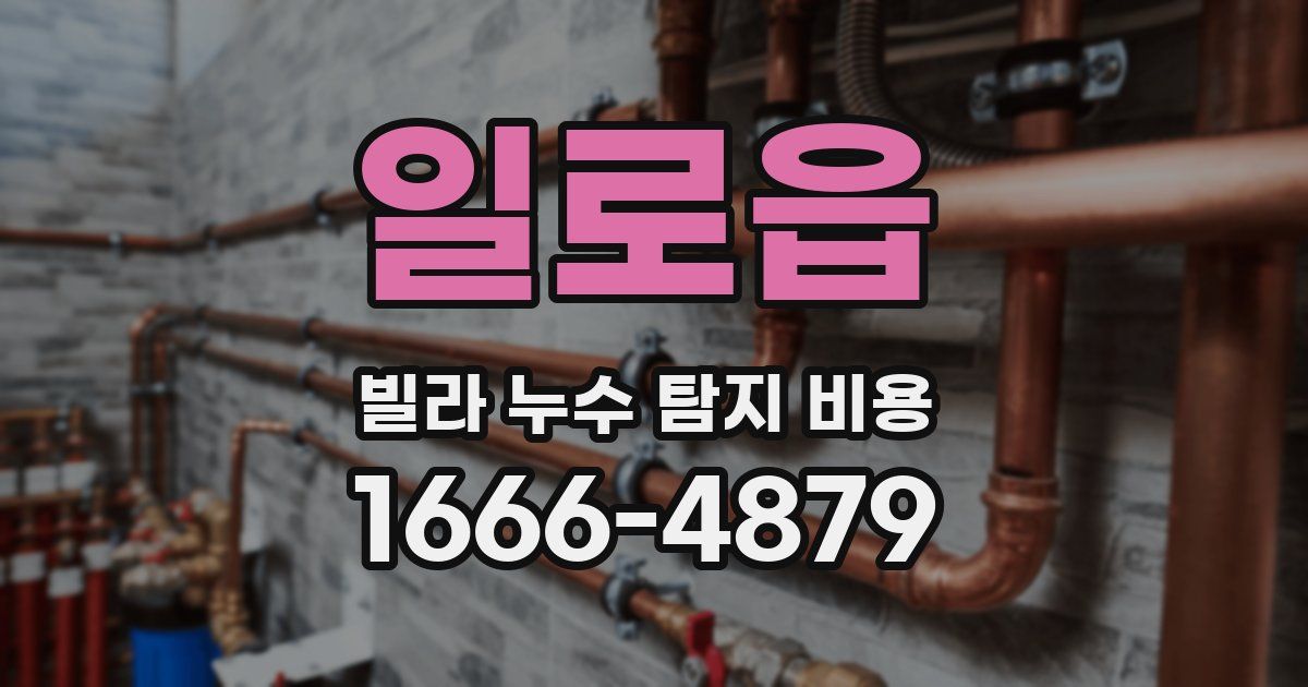 일로읍 빌라 누수 탐지 비용