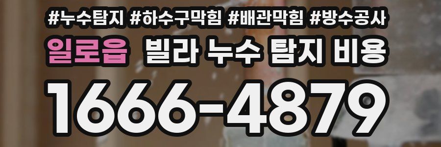일로읍 빌라 누수 탐지 비용
