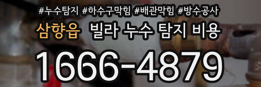 삼향읍 빌라 누수 탐지 비용
