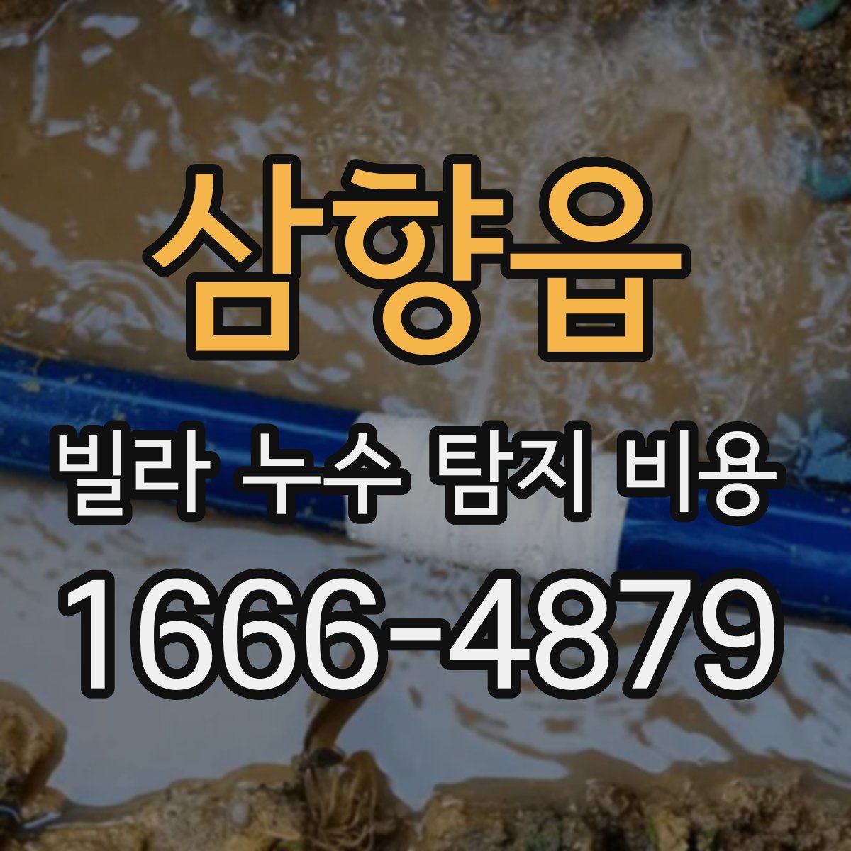 삼향읍 빌라 누수 탐지 비용