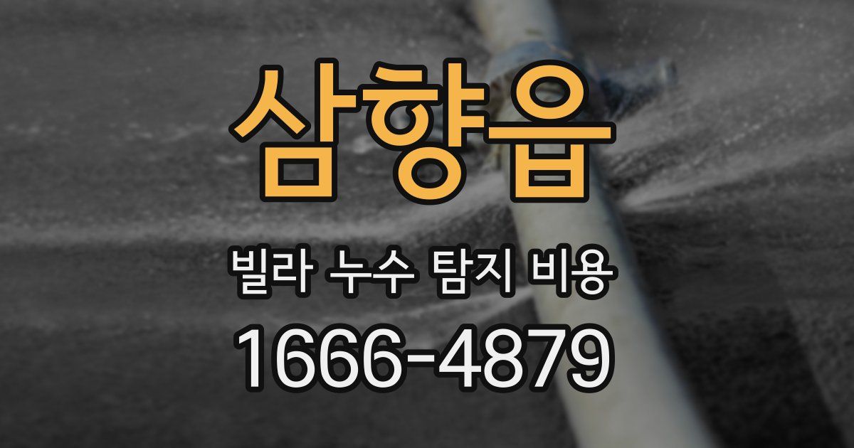 삼향읍 빌라 누수 탐지 비용