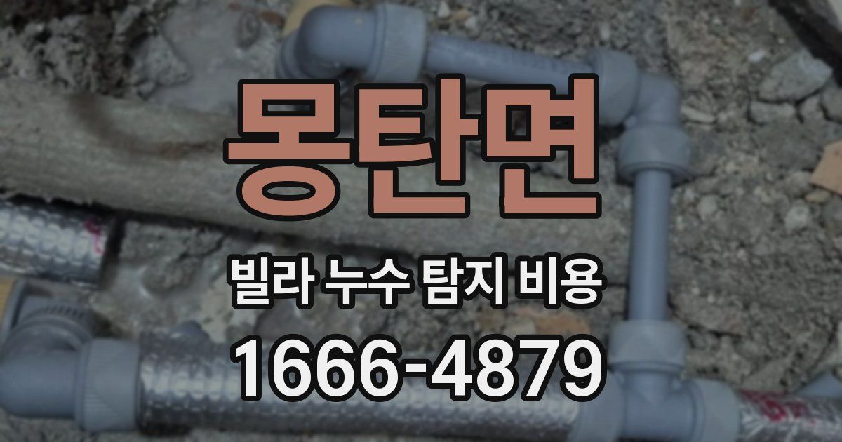 몽탄면 빌라 누수 탐지 비용