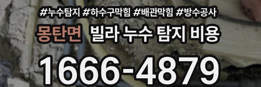 몽탄면 빌라 누수 탐지 비용