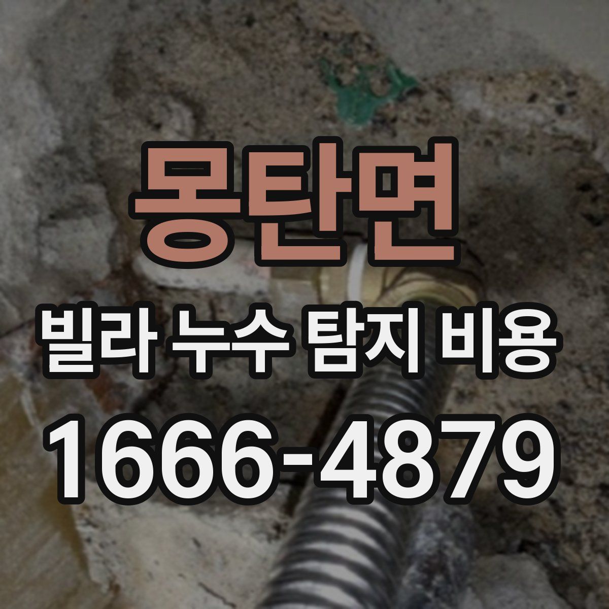 몽탄면 빌라 누수 탐지 비용
