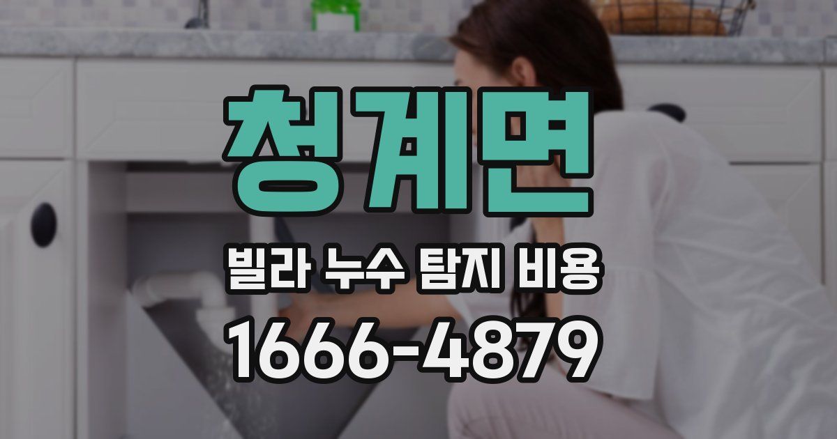 청계면 빌라 누수 탐지 비용