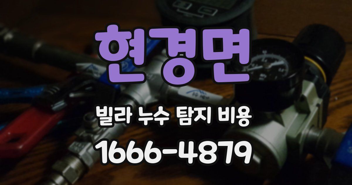 현경면 빌라 누수 탐지 비용