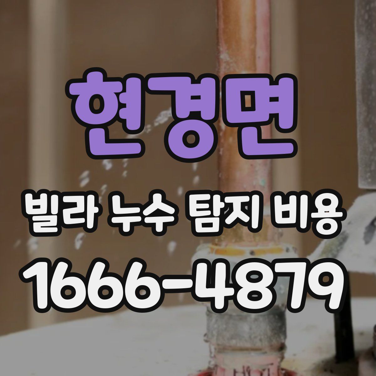 현경면 빌라 누수 탐지 비용
