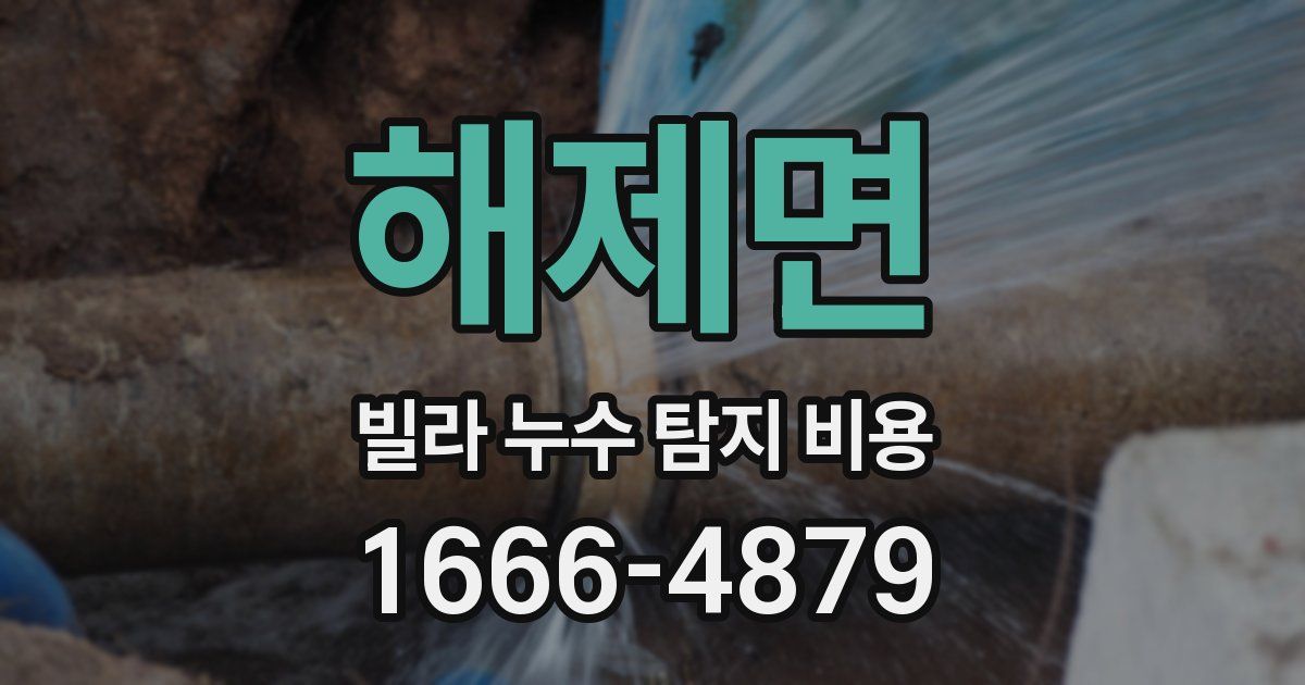 해제면 빌라 누수 탐지 비용