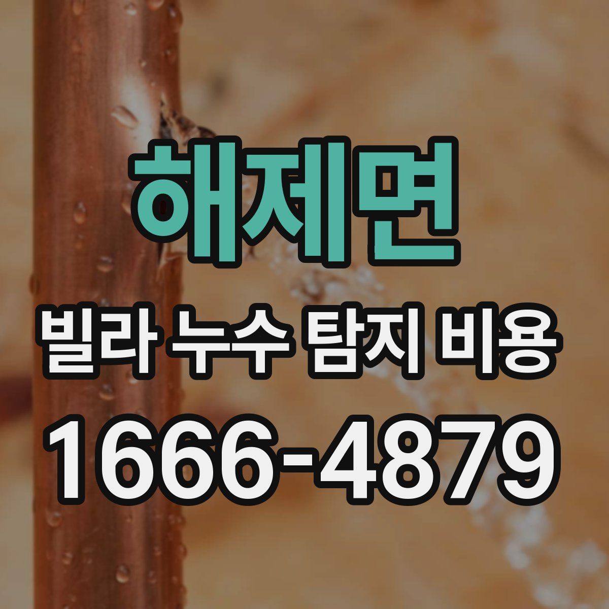 해제면 빌라 누수 탐지 비용