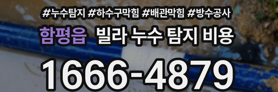 함평읍 빌라 누수 탐지 비용