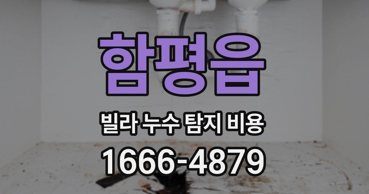 함평읍 빌라 누수 탐지 비용