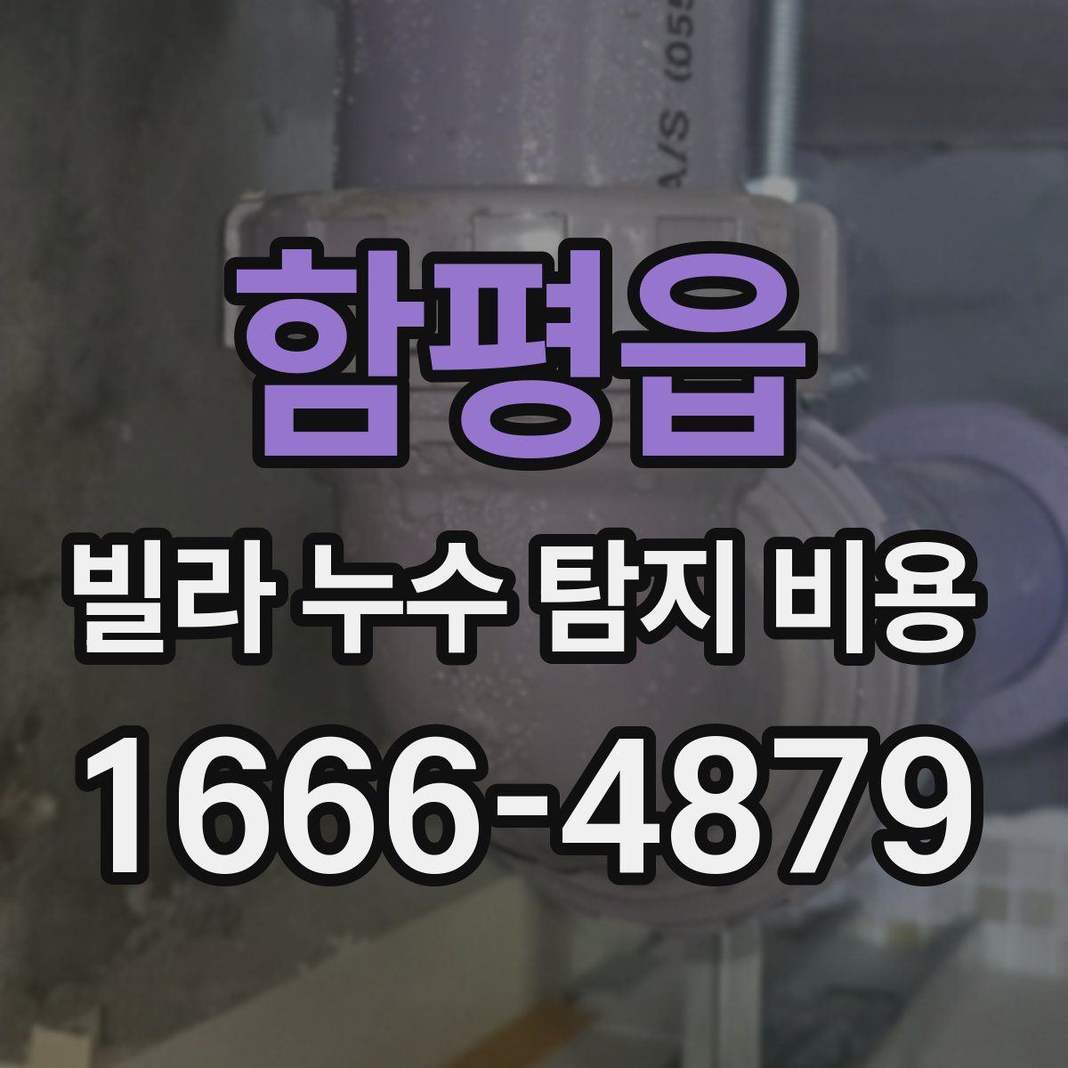 함평읍 빌라 누수 탐지 비용