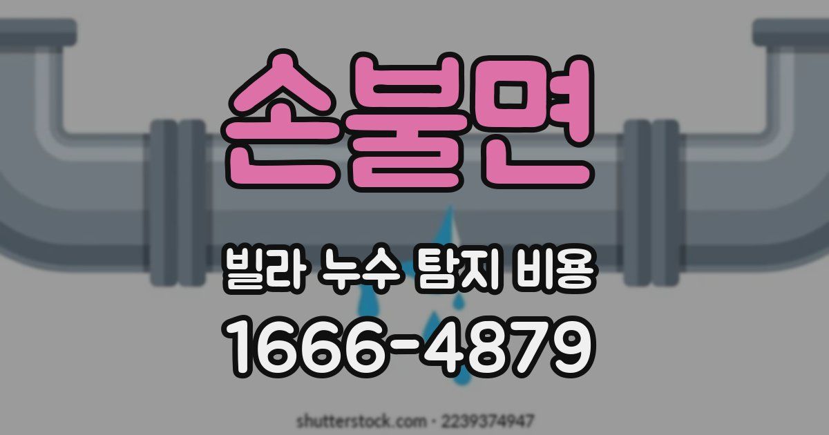 손불면 빌라 누수 탐지 비용