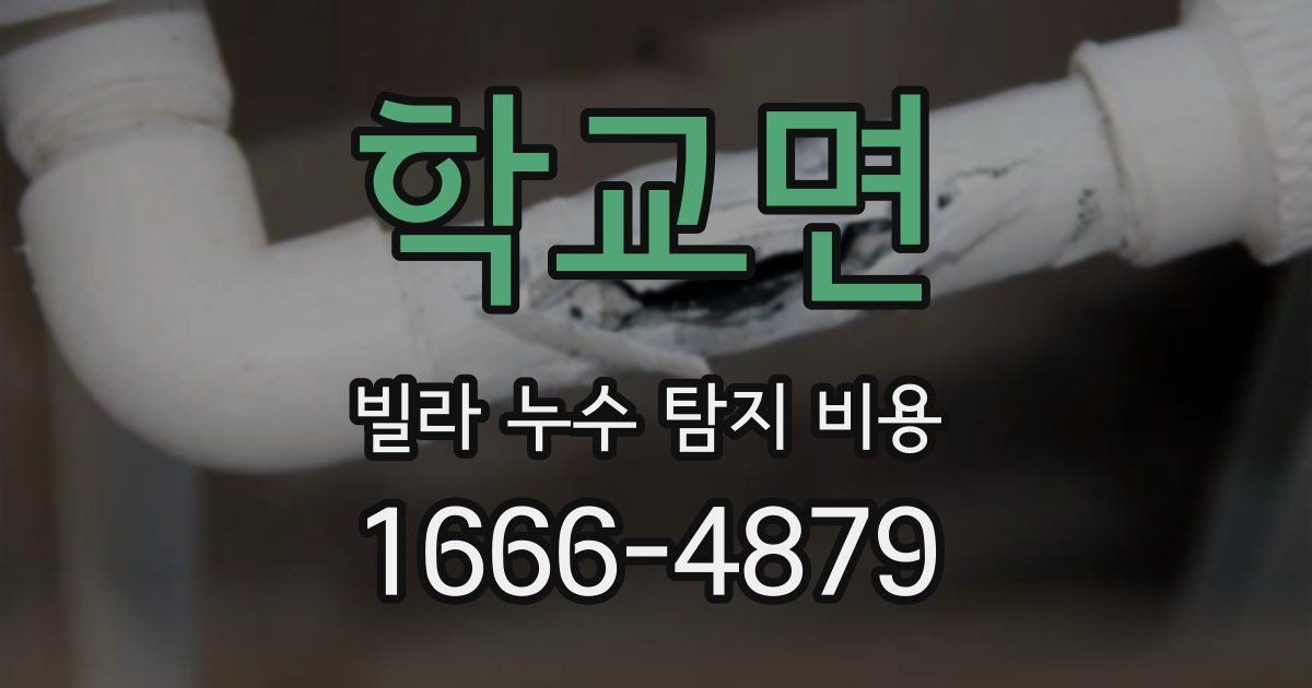 학교면 빌라 누수 탐지 비용