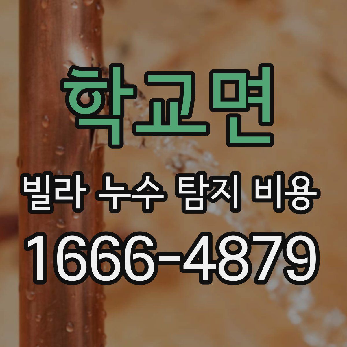학교면 빌라 누수 탐지 비용