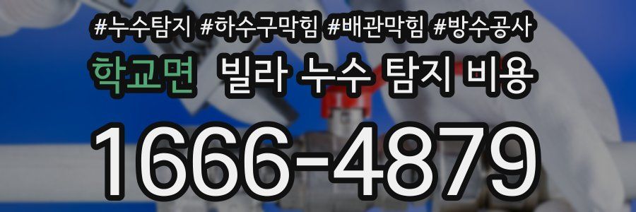 학교면 빌라 누수 탐지 비용